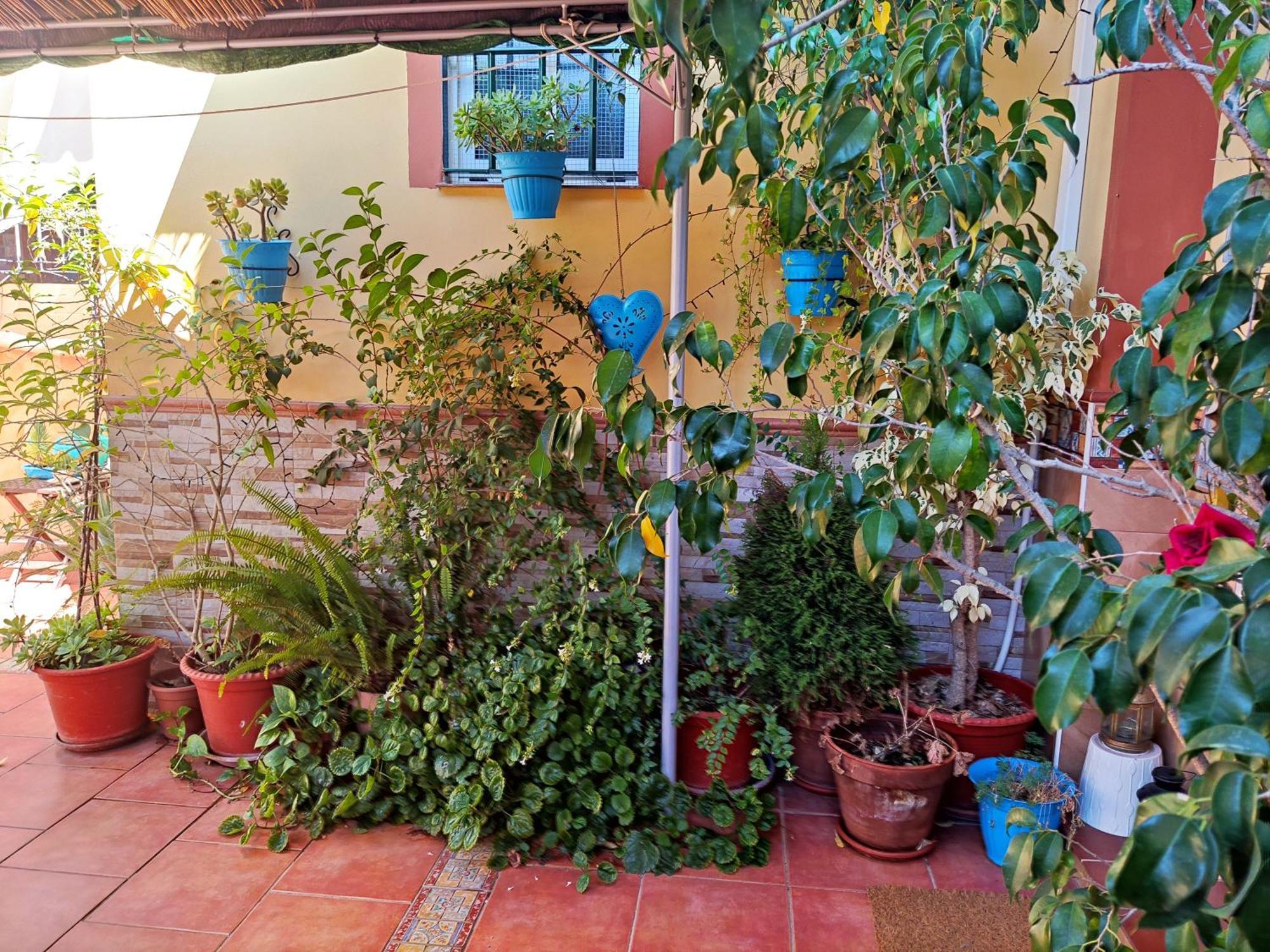 Apartamento Cool Garden Mairena del Aljarafe Eksteriør bilde