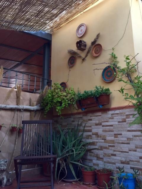 Apartamento Cool Garden Mairena del Aljarafe Eksteriør bilde