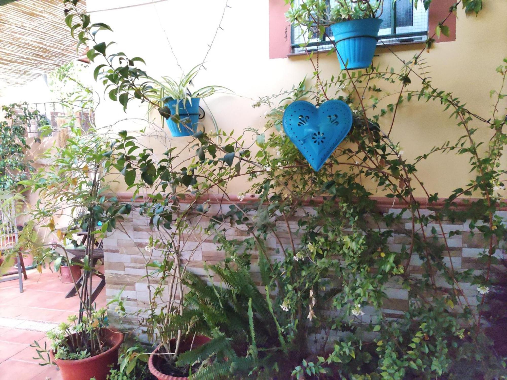 Apartamento Cool Garden Mairena del Aljarafe Eksteriør bilde