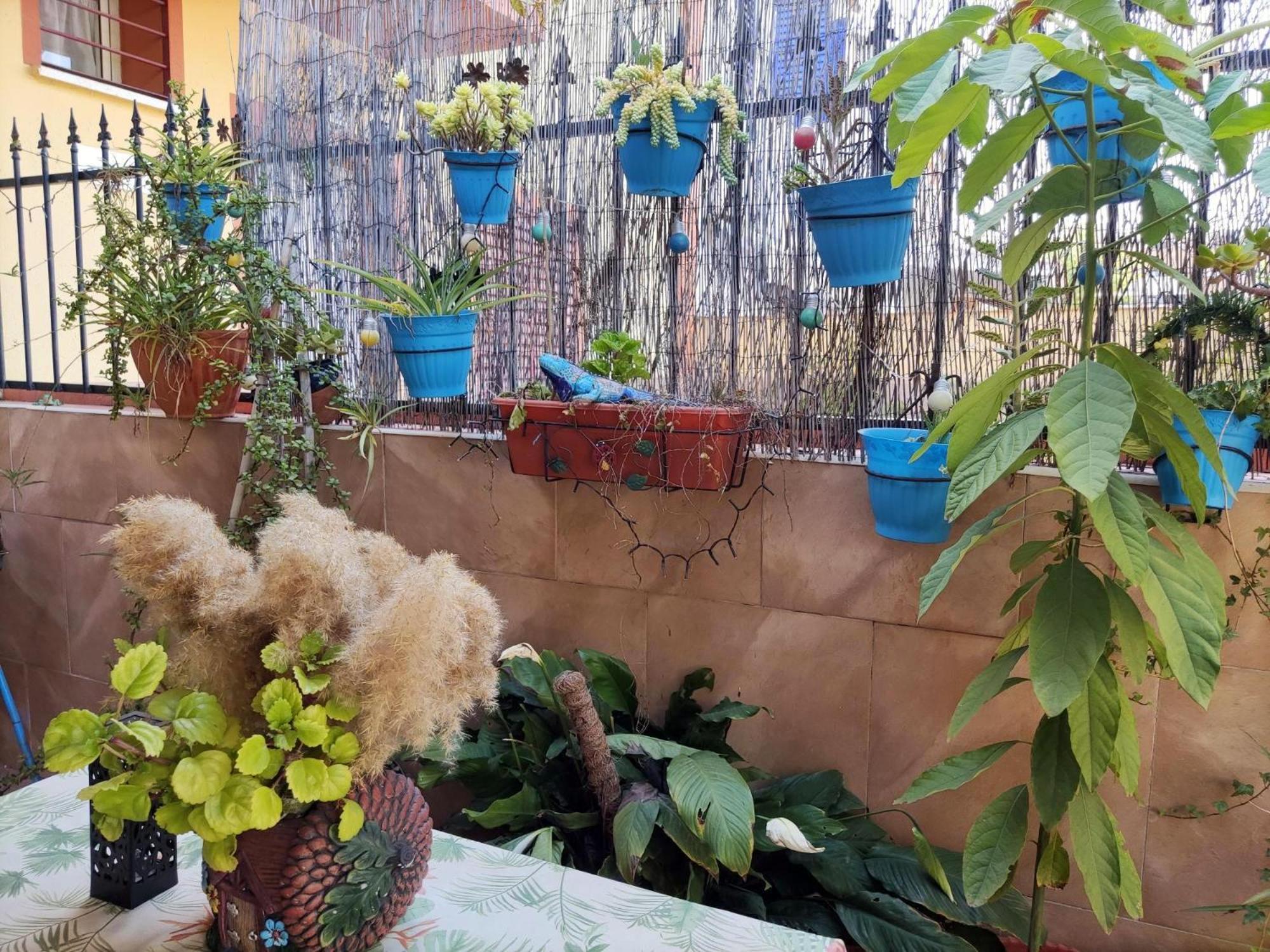 Apartamento Cool Garden Mairena del Aljarafe Eksteriør bilde