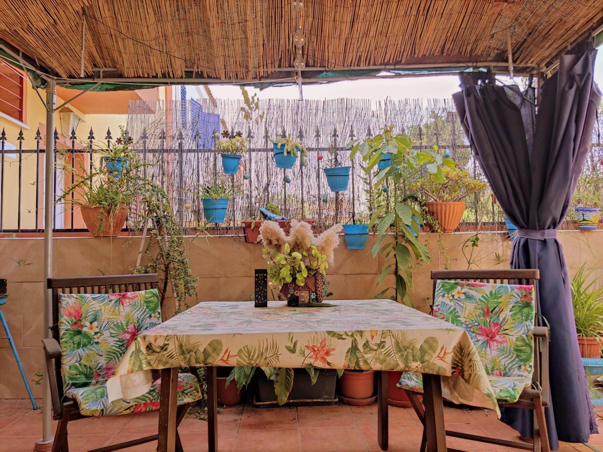 Apartamento Cool Garden Mairena del Aljarafe Eksteriør bilde